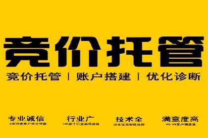 SEM代理案例：优化策略助力企业增长